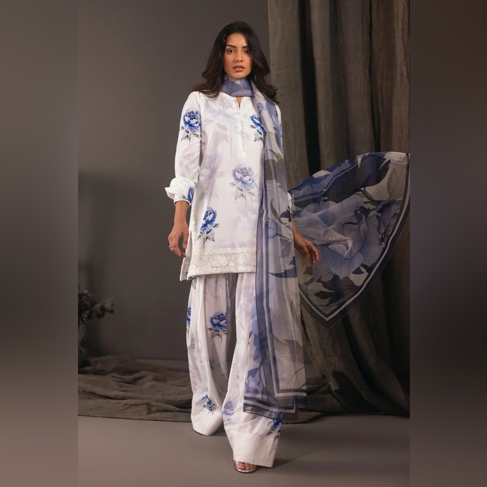 Pakistani Indian Women Outfit